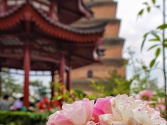 -大慈恩寺(大雁塔)