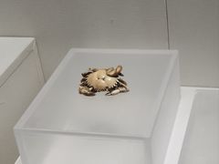 -镇江博物馆