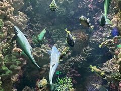 -海合安青岛极地海洋公园