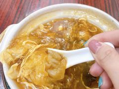 海参花胶特大鱼翅-添發碗仔翅美食