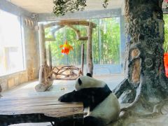 -海南热带野生动植物园