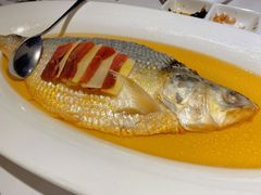 清蒸鲥鱼-老洋房花园饭店(绍兴路店)