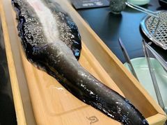 -银座苑烧肉酒场·烤活鳗(仙霞路店)