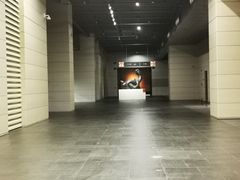 -中华艺术宫(上海美术馆)