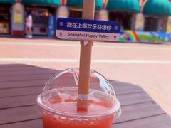 -上海欢乐谷