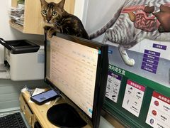 -宠福鑫康馨动物医院·骨科·眼科