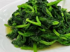 炒豆苗-瑞福园联谊餐室(茂名南路店)