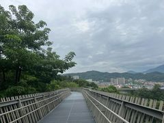 -福道