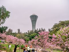 -狐尾山公园
