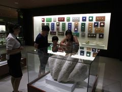-青岛贝壳博物馆