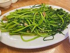 空心菜-长平肥姐白粥·海鲜打冷