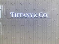 -Tiffany & Co.蒂芙尼
(天津万象城店)