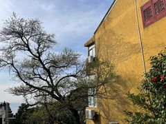 -普陀山风景区-佛顶山