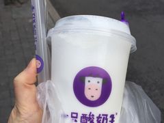 -一只酸奶牛(八一路店)