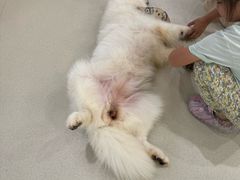 -共舞时光猫咖·狗咖(新街口店)