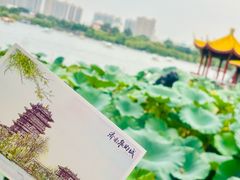 -济南大明湖景区