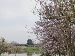 -海珠湖公园