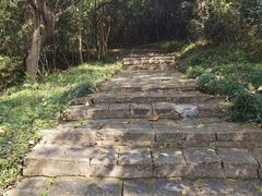 -南京珍珠泉风景区
