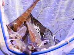 -巽寮印象美食部落餐厅·海鲜·地方特色菜(惠州体验店)