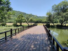 -八卦田遗址公园