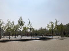 -廊坊文化艺术中心