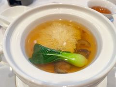 -香乐园·淮扬菜中餐厅·Shang Garden(福田香格里拉店)