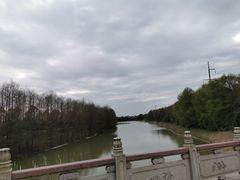 -上海海湾国家森林公园