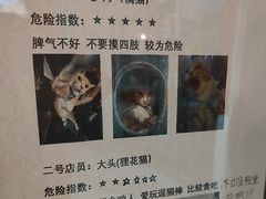 -逃脱反斗城沉浸剧情密室(北京路店)