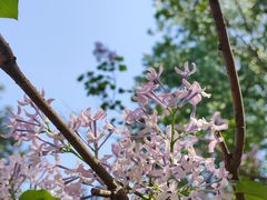 -国家植物园