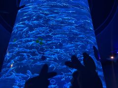 -香港海洋公园