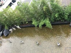 -观宴·品质赣菜(高新大道店)