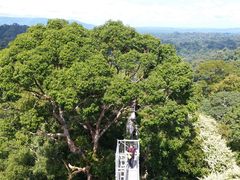 -乌鲁淡布隆国家公园