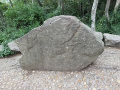 -上海佘山国家森林公园天马山园