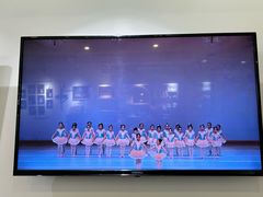 -中央芭蕾舞团·中芭艺蕾(酒仙桥明星校区)