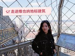 -斯蒂芬主教座堂(Stephansdom)