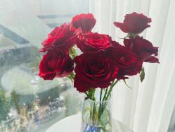 -Dr.Jane皮肤管理中心