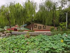-红莲湖