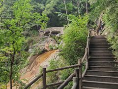 -内乡宝天曼生态旅游区