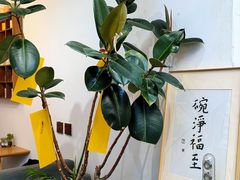 -沏点Trattoria意大利餐厅(新街口店)