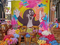 -布拉格餐厅· 中欧捷克菜(全国首店)