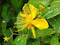 -上海吴淞炮台湾国家湿地公园