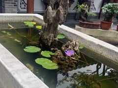 -不倒翁·徽天下名菜楼(马鞍山路店)