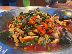 -海岛八号龙虾烧烤田鸡(蓝天路总店)
