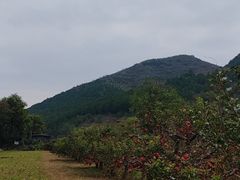 -狼牙山风景区