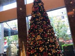 -嘉瑞酒店有限公司