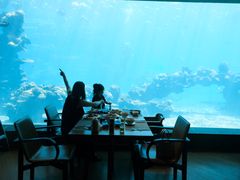 -涛·海底餐厅·美人鱼·自助餐·海底隧道(三亚海棠湾洲际度假酒店)