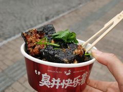 -黑色经典臭豆腐·湖南特产(步行街店)