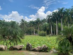 -中国科学院西双版纳热带植物园