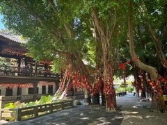 -白帝城·瞿塘峡景区