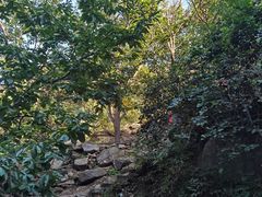 -北京密云天门山风景区